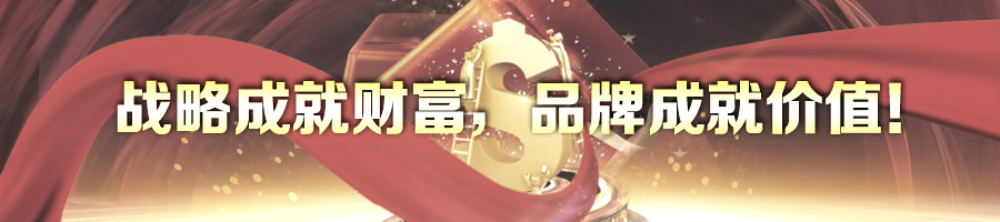 戰略成就財富,品牌成就價值!-2