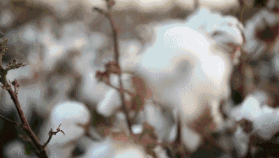 福連升“合腳”的秘密(圖1) 640